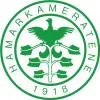 汉坎女足